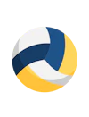 Mahadev Book - volleyball icon
